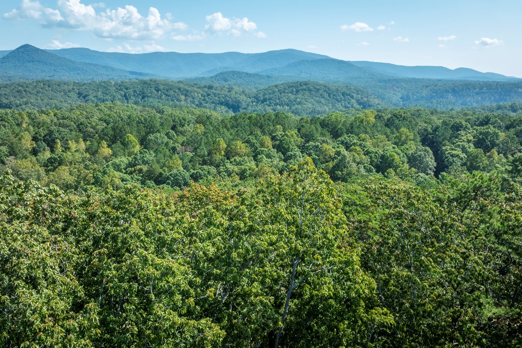 262 Sharptop Ridge Road Jasper, GA 30143 - Photo 46 of 46