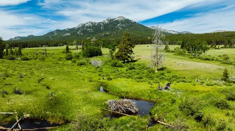$5,750,000 | Hazelton Road, Buffalo, WY 82834