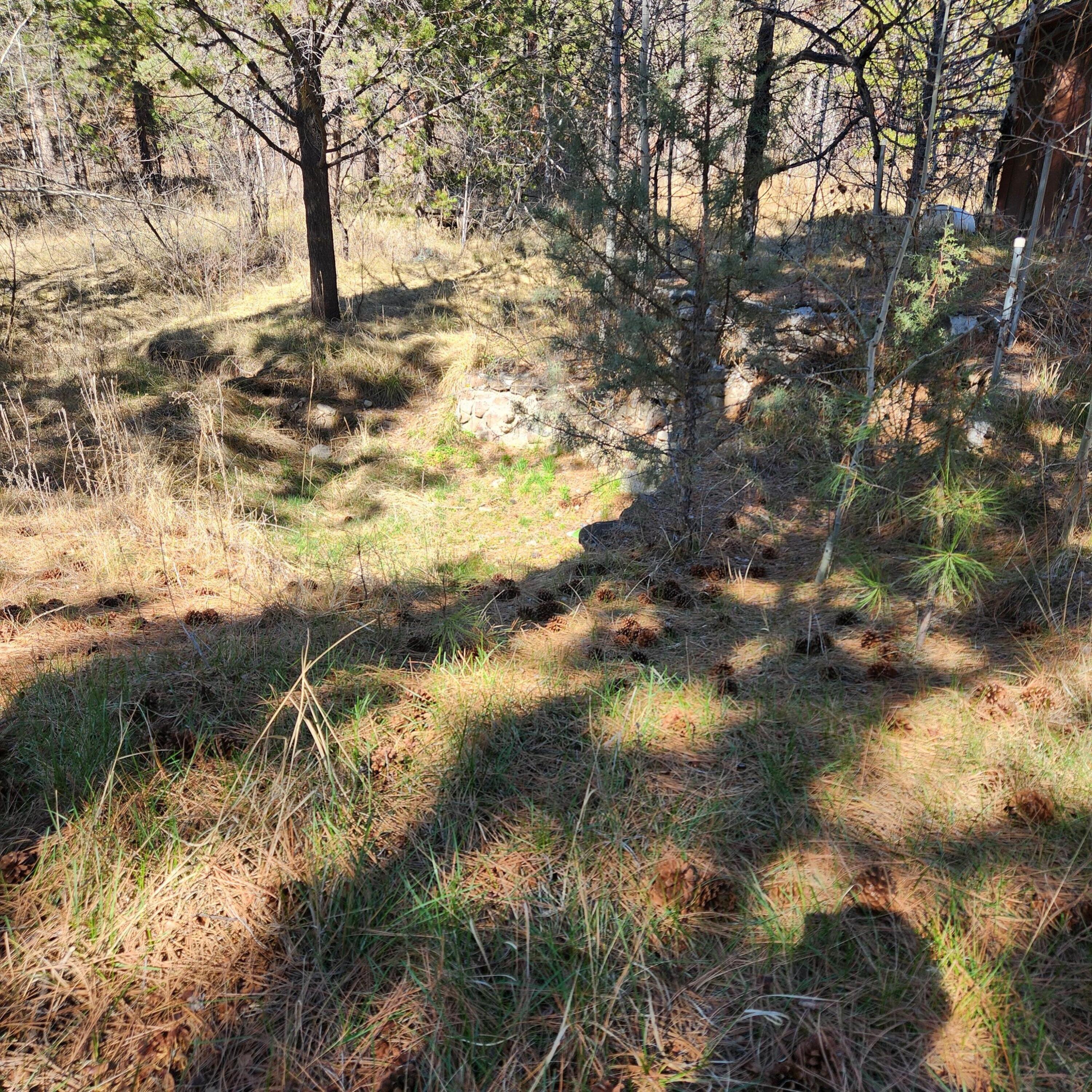 Moccasin Lane Chiloquin, OR 97624 - Photo 18 of 21 a view of a yard