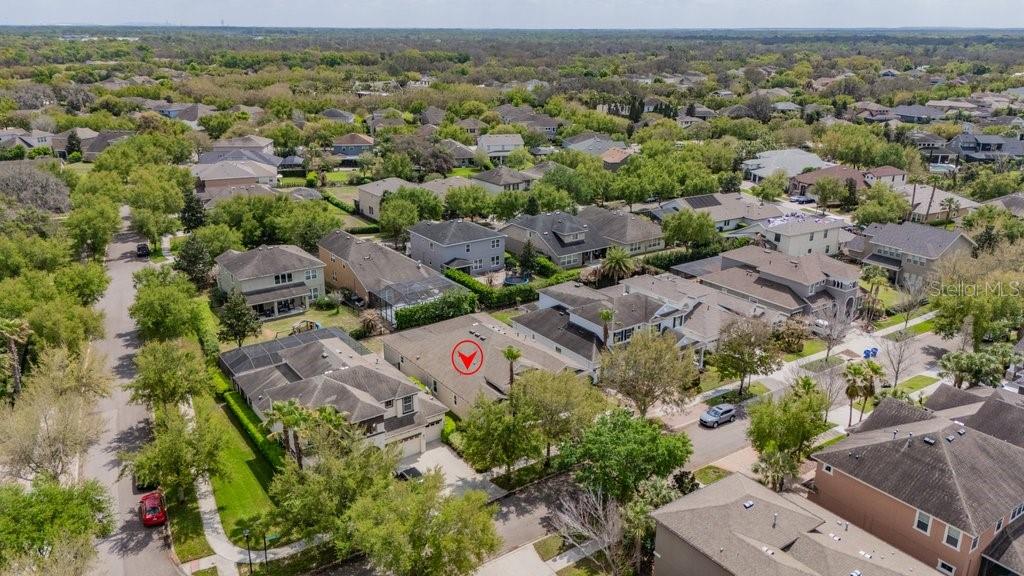 5204 Sparrowglen Place Lithia, FL 33547 - Photo 31 of 49