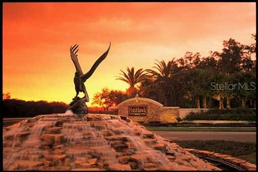 5204 Sparrowglen Place Lithia, FL 33547 - Photo 39 of 49