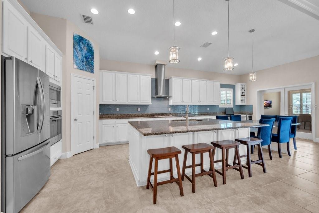 5204 Sparrowglen Place Lithia, FL 33547 - Photo 6 of 49