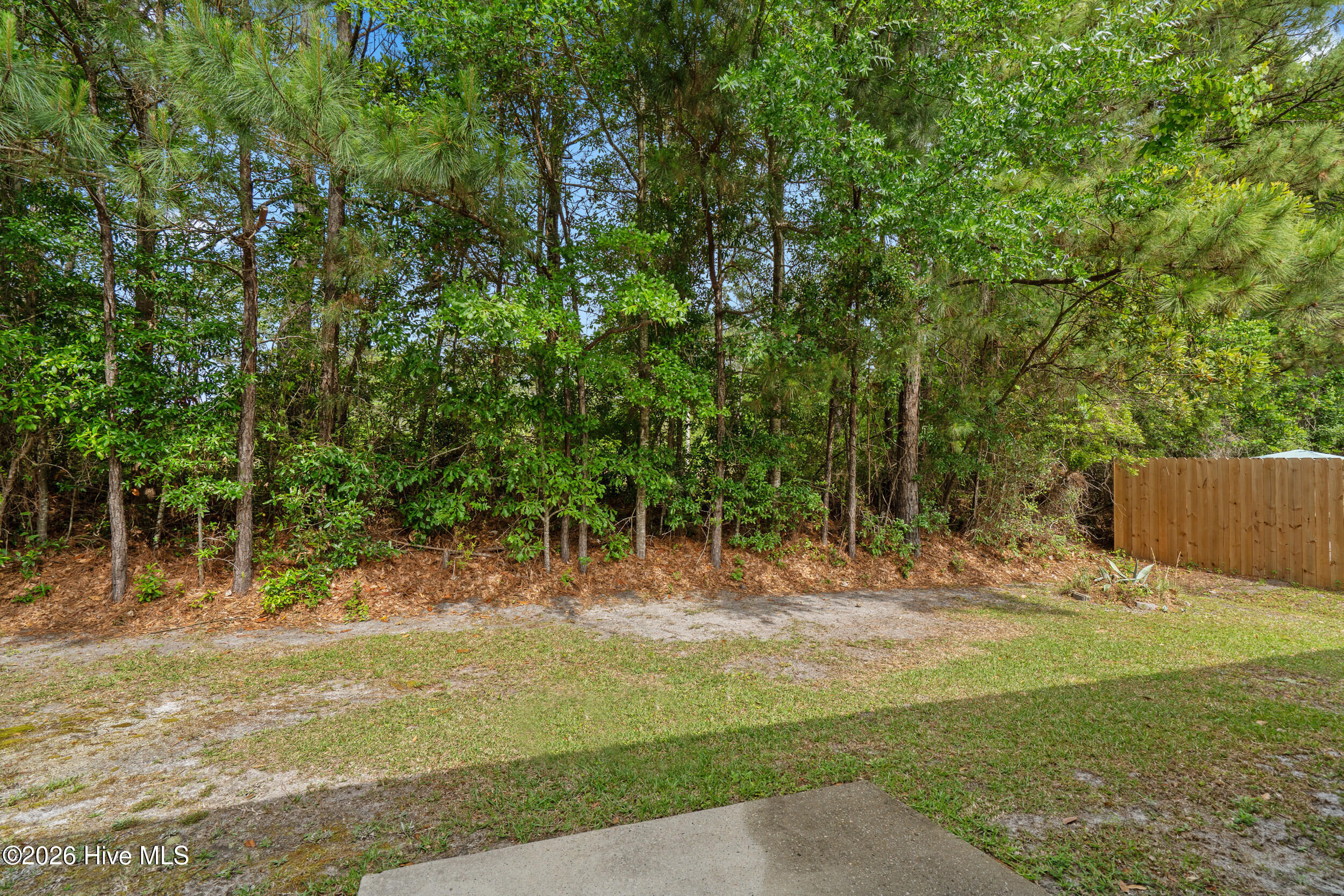 4374 Ritz Circle Shallotte, NC 28470 - Photo 21 of 28 Rear Yard