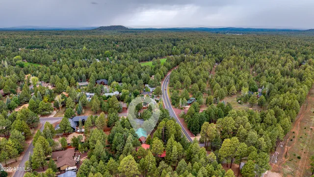 a view of a lush green forest with houses and lake view