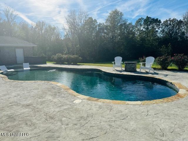 4020 Lower Gurley Road Potts Camp, MS 38659 - Photo 3 of 20 4020 pool