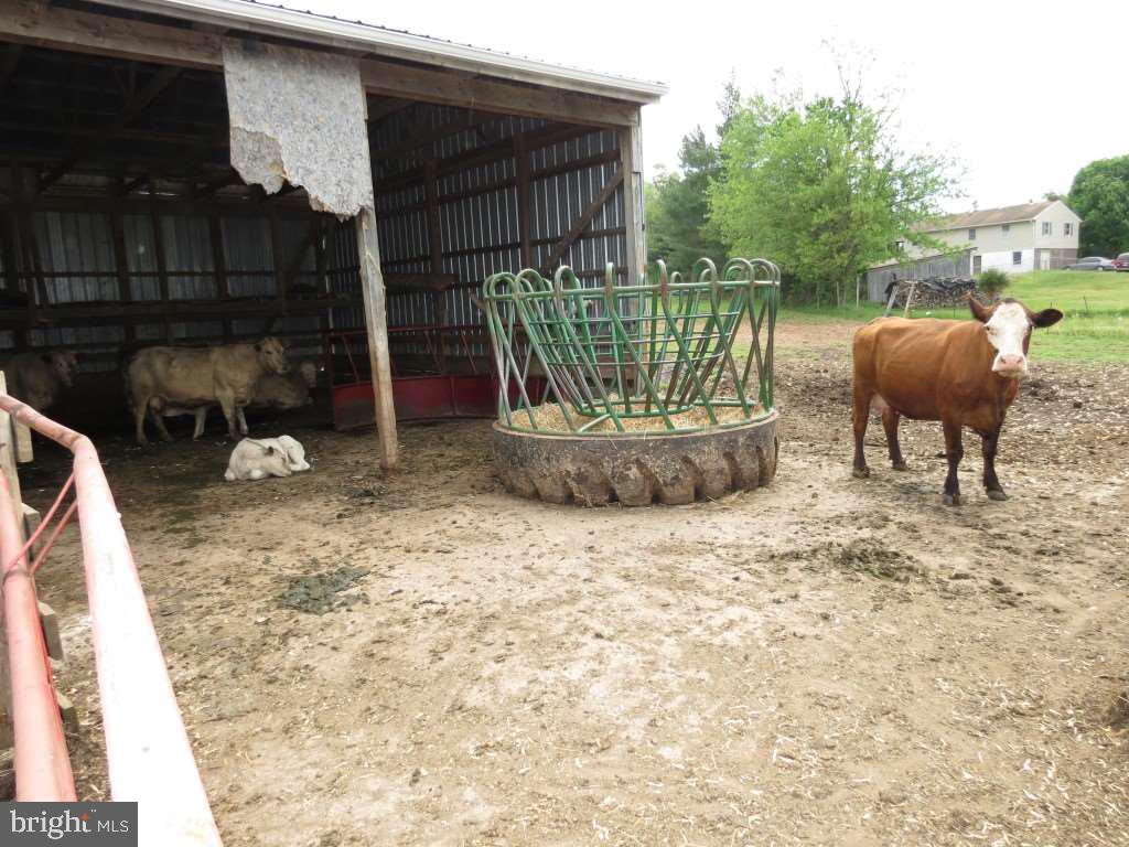 883 Big Mt Road Thomasville, PA 17364 - Photo 30 of 36 Gallery Image 30