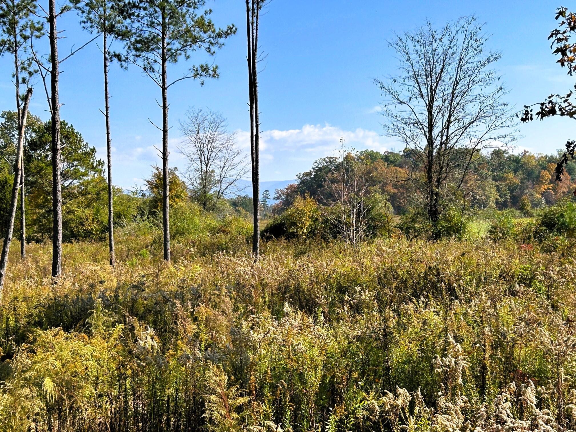 12 Hughes Lake Road Southeast Cleveland, TN 37323 - Photo 5 of 6 Gallery Image 5