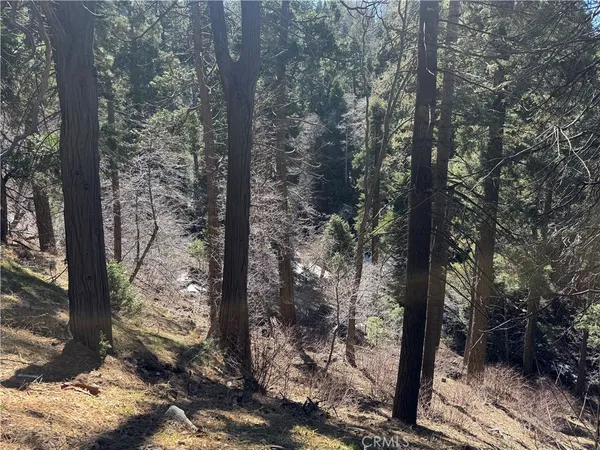 $3,500 | 0 Sunderland Court, Lake Arrowhead, CA 92352