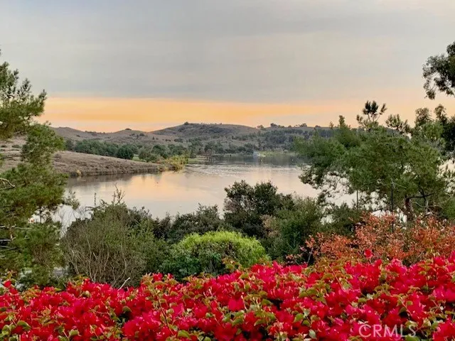 a view of a bunch of flowers