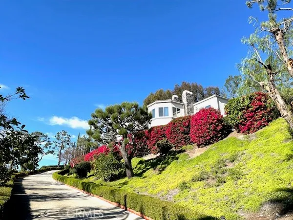 a view of a bunch of flowers