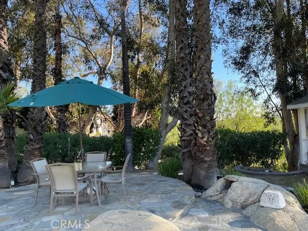 a view of backyard with plants and outdoor seating