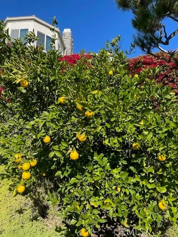 a view of a lake with a house