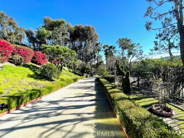 a view of a garden with flowers and trees