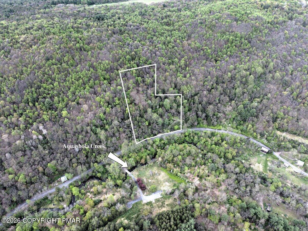 45052 Lower Smith Gap Road Kunkletown, PA 18058 - Photo 13 of 13 a view of a forest that has a tree