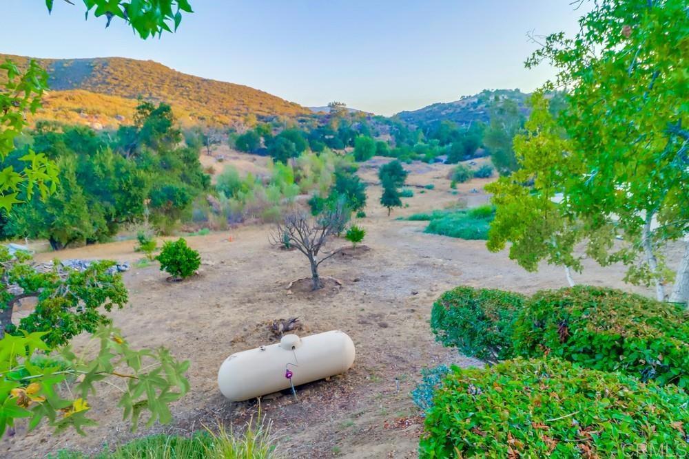 2576 Via Dieguenos Alpine, CA 91901 - Photo 41 of 41 a view of a garden with furniture