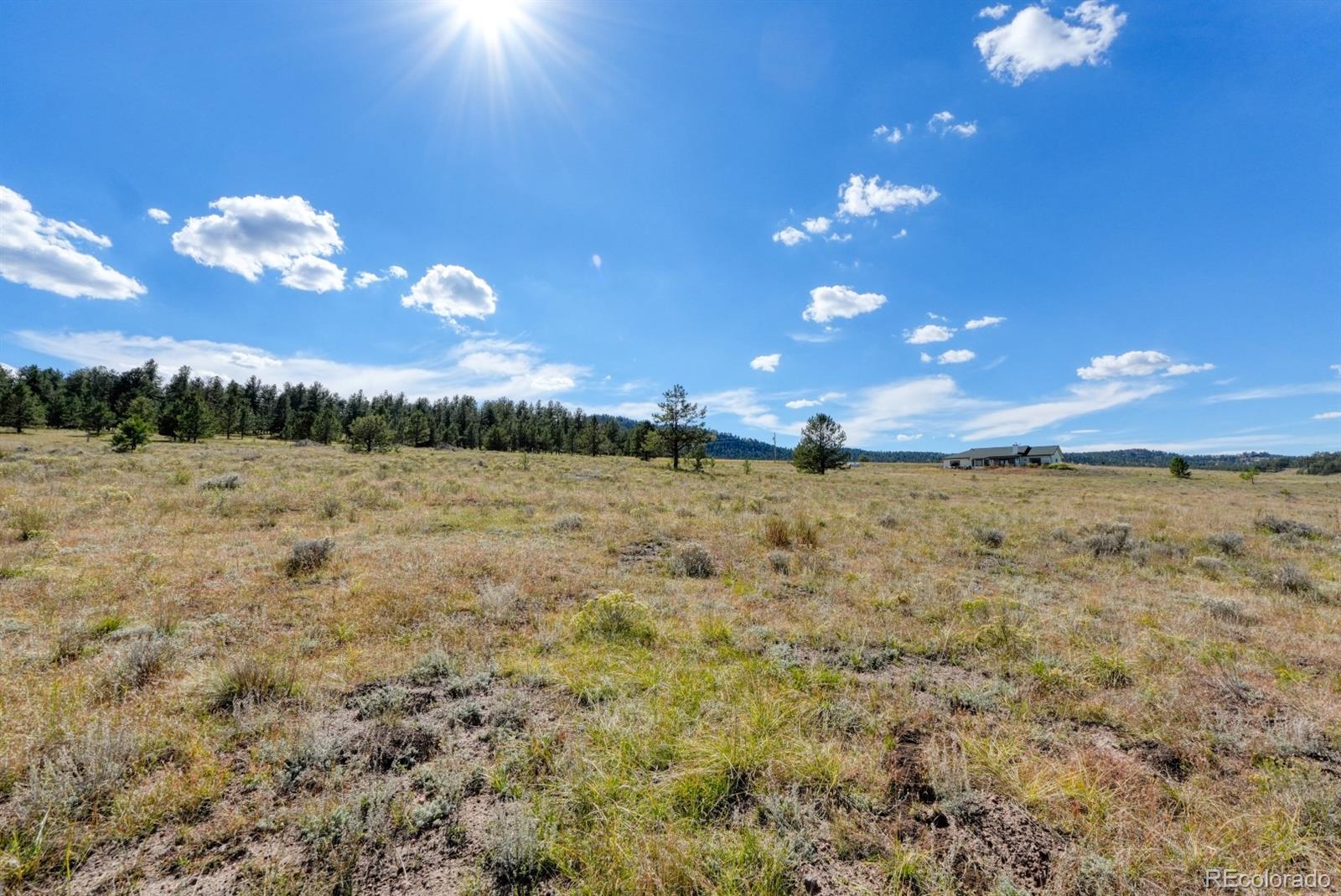 300 South Deer Mountain Road Florissant, CO 80816 - Photo 15 of 16