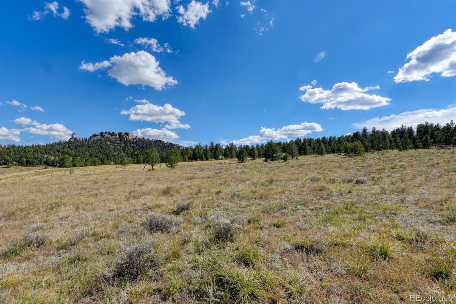 300 South Deer Mountain Road Florissant, CO 80816 - Photo 16 of 16