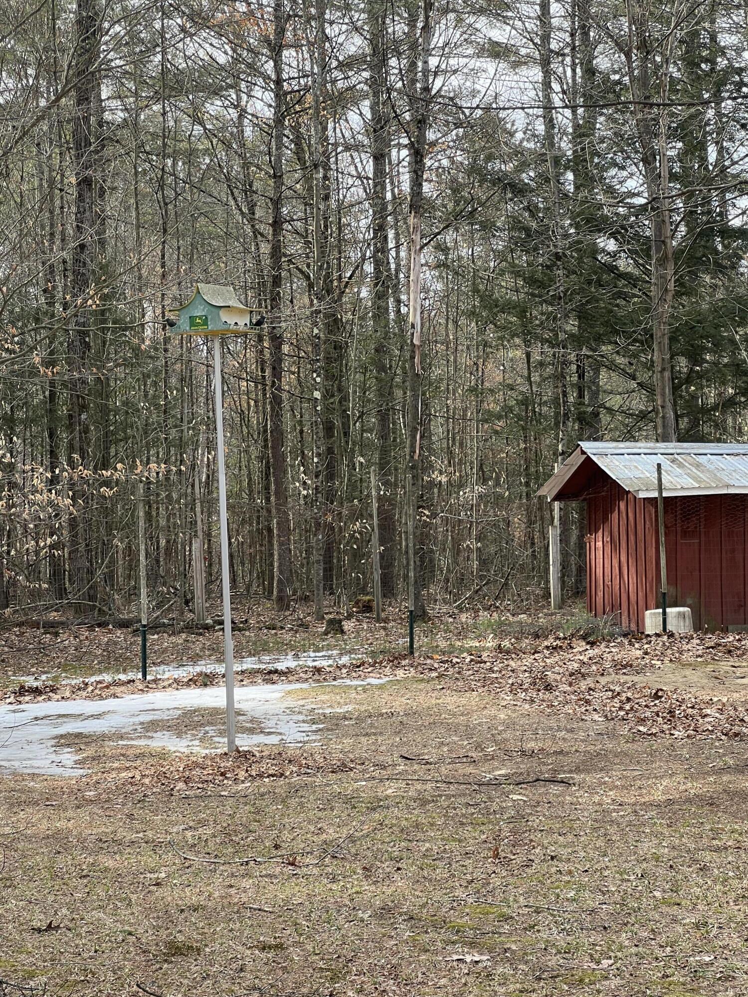 776 Brainards Forge Road Lewis, NY 12993 - Photo 18 of 21