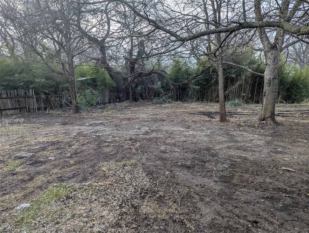 502 East Baker Street Hamilton, TX 76531 - Photo 8 of 37 a view of a forest with trees in the background