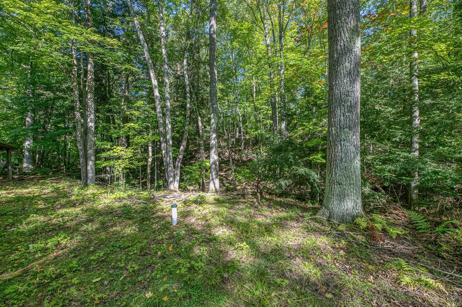 11559 Halme Road Three Lakes, WI 54562 - Photo 26 of 32 Gallery Image 26