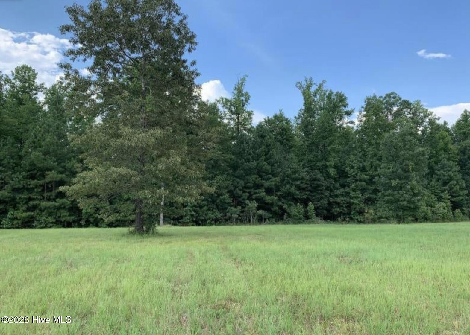 321 Whistle Hill Road Cameron, NC 28326 - Photo 4 of 12