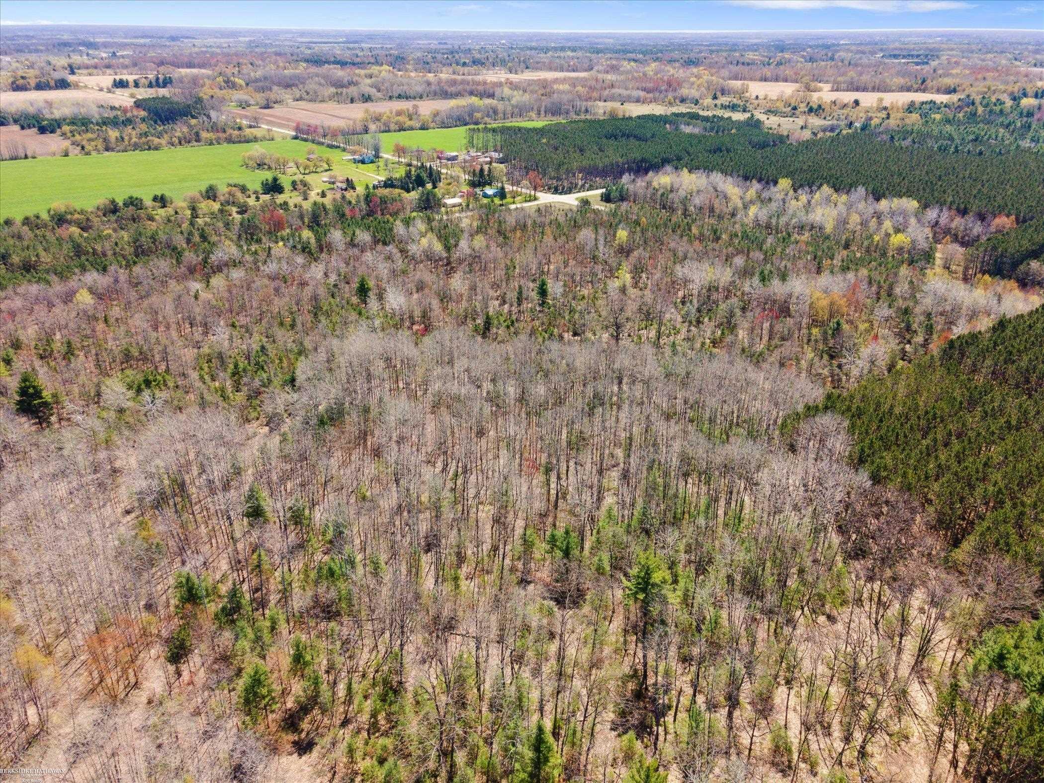 Hottis Road Whittemore, MI 48770 - Photo 14 of 21