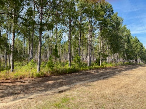 0 Huskey Road Dothan, AL 36303 - Photo 2 of 3