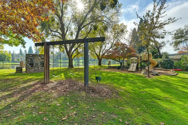 a view of a park with large trees