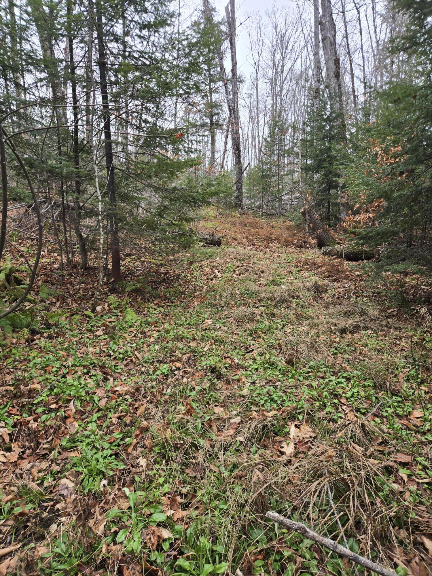 469 East Cottage Road Portage, ME 04768 - Photo 44 of 63 20241120_121212