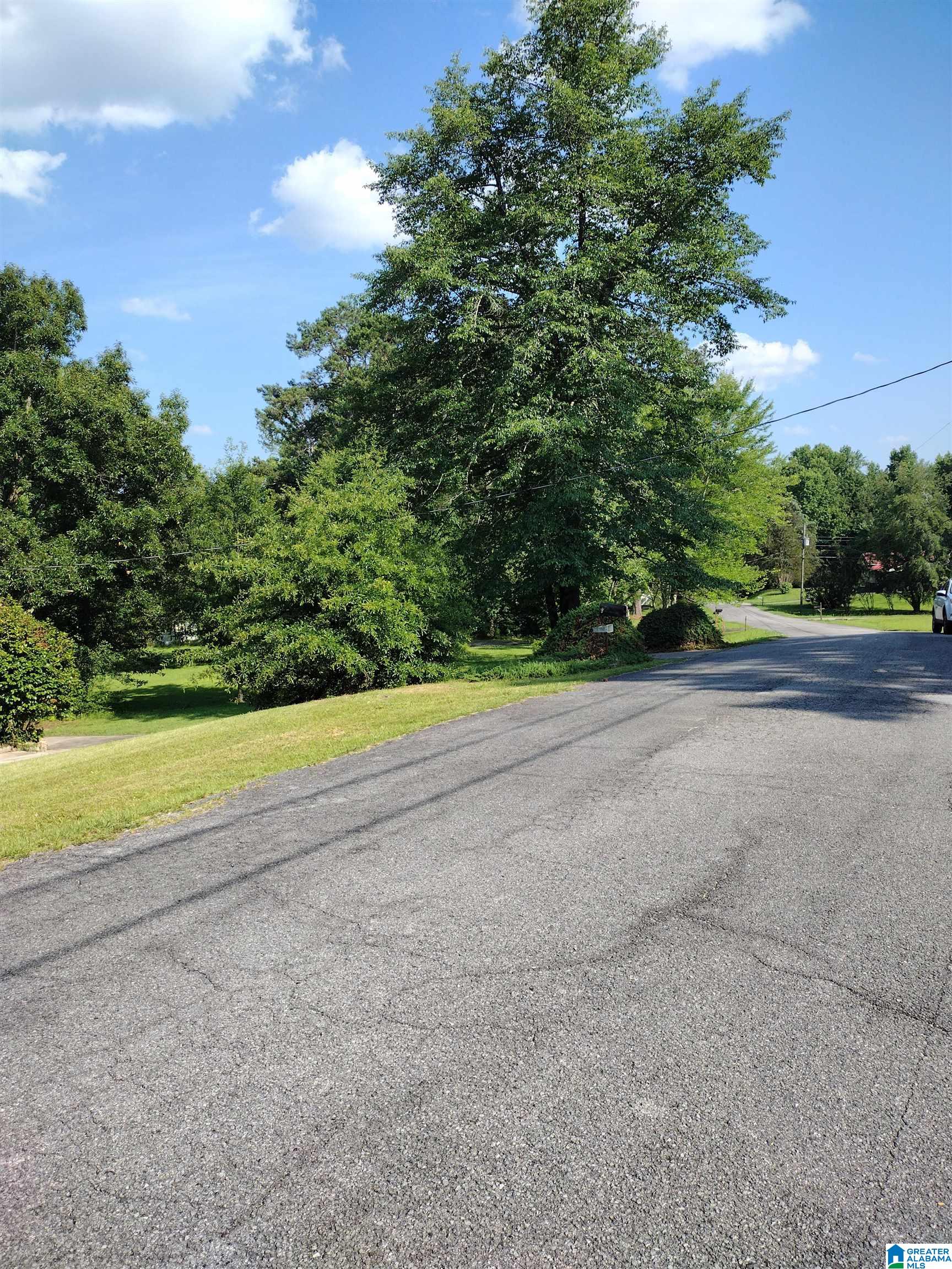 807 Rock Ridge Road Weaver, AL 36277 - Photo 29 of 50