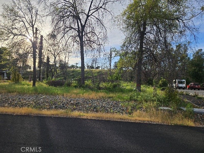 109 Sycamore Valley Road Chico, CA 95973 - Photo 3 of 17 a view of backyard with green space