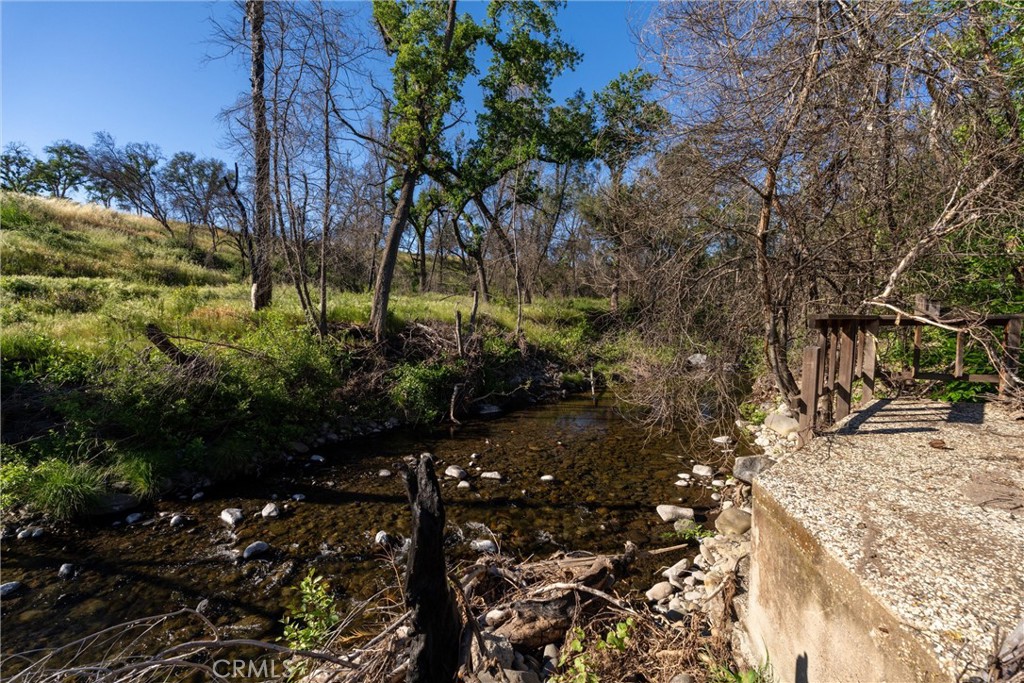 109 Sycamore Valley Road Chico, CA 95973 - Photo 5 of 17 a view of a tree
