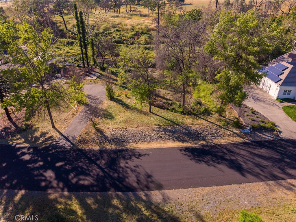 109 Sycamore Valley Road Chico, CA 95973 - Photo 7 of 17 a view of a yard