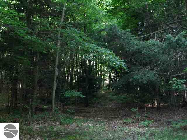 2376 North Haze Road Beulah, MI 49617 - Photo 5 of 9 1665132-4.JPG