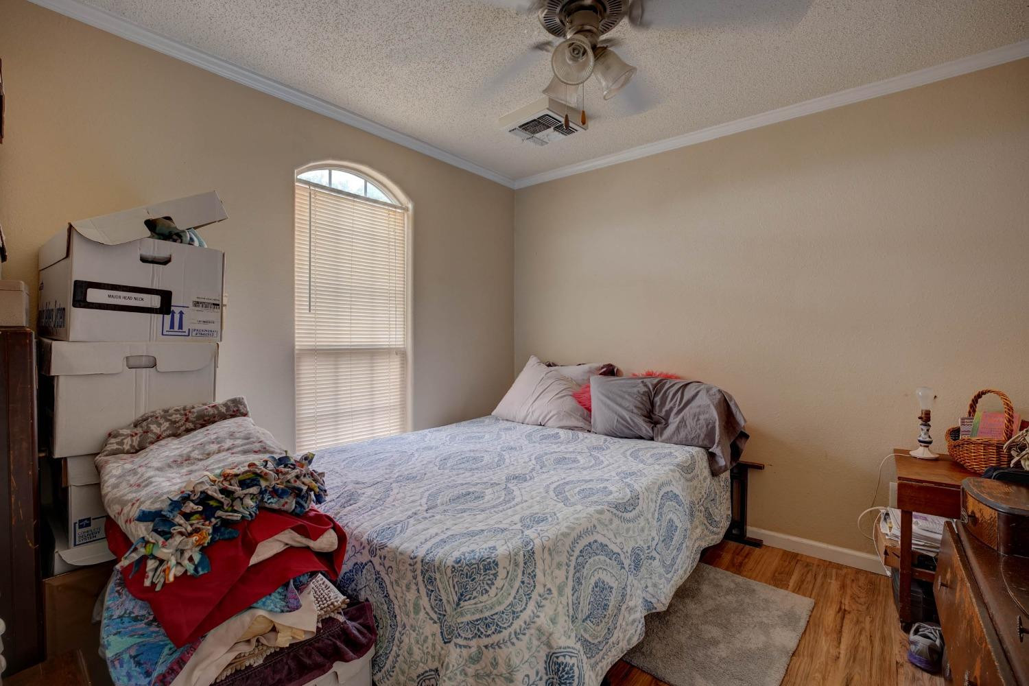 6162 Tennessee Road Anton, TX 79313 - Photo 24 of 33 Photo 24