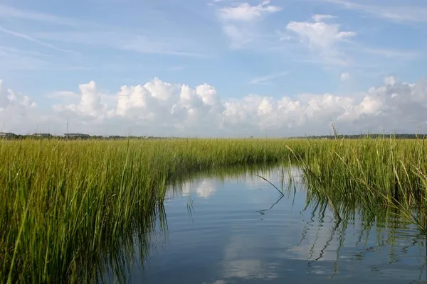 $479,900 | 77 Hallandale Lane, Unit RIGHT, Murrells Inlet, SC 29576