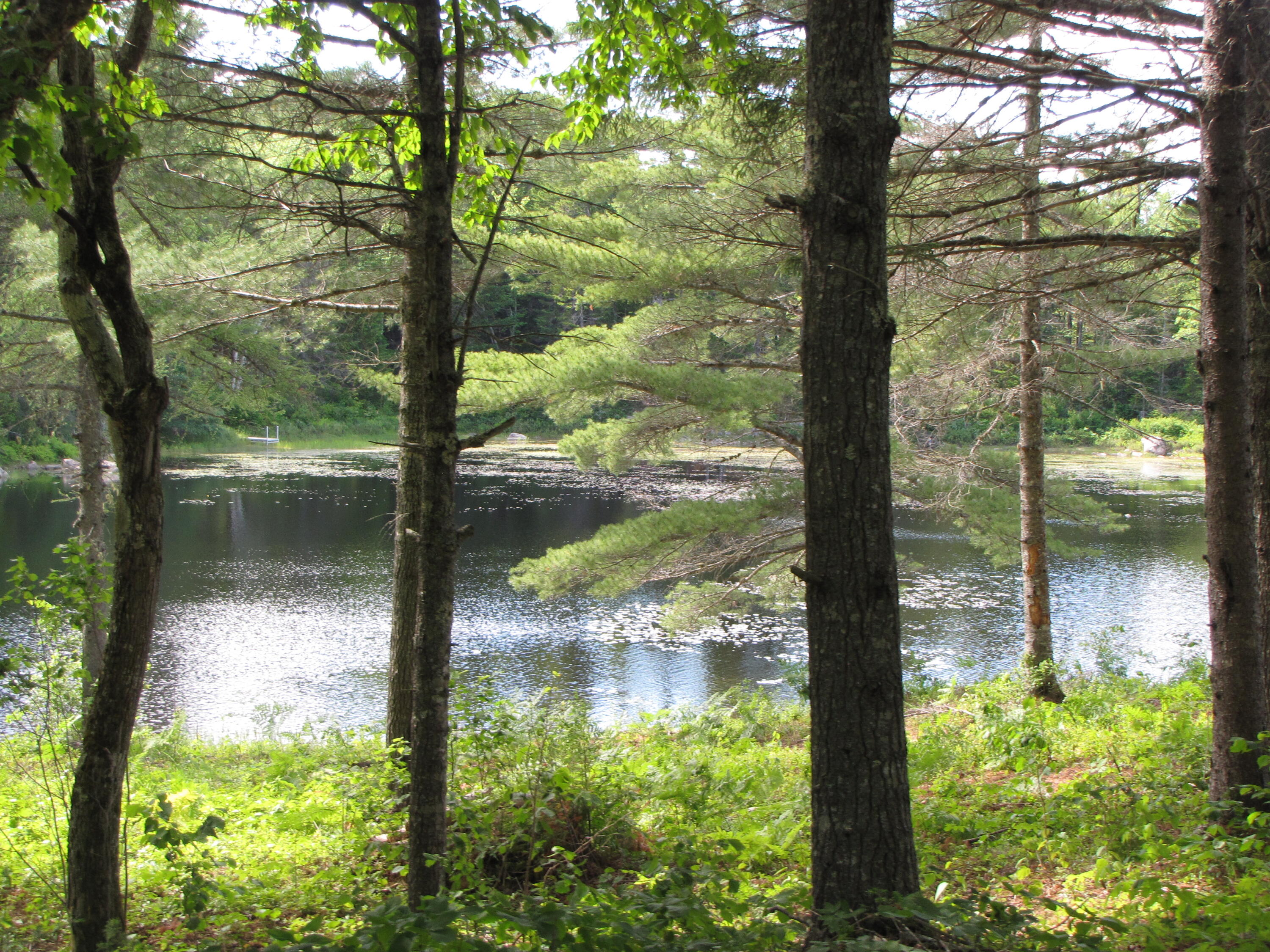 33 Marks Lake Road Machias, ME 04654 - Photo 20 of 37 10