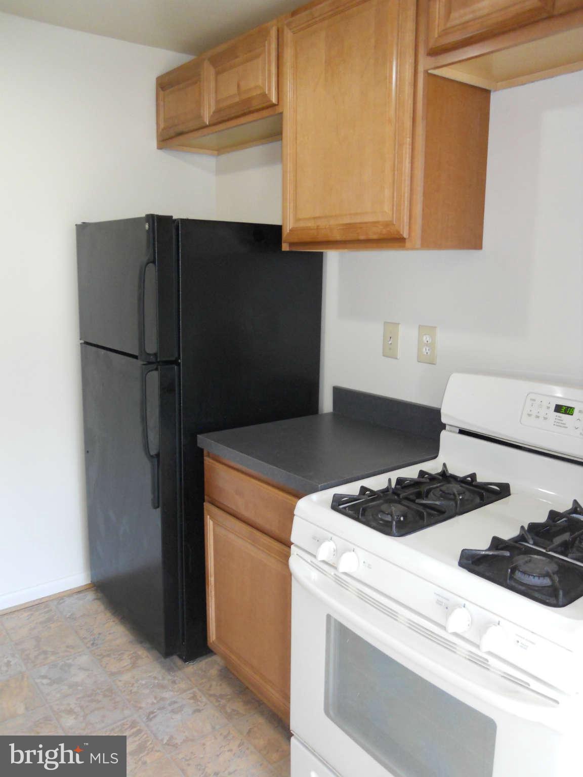 7093 Spring Garden Drive, Unit 102 Springfield, VA 22150 - Photo 4 of 14 Kitchen