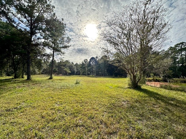 780 Hickory Hammock Road Carrabelle, FL 32322 - Photo 10 of 21 Gallery Image 10