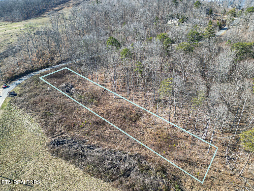 Hickory Point Maynardville, TN 37807 - Photo 4 of 13 03