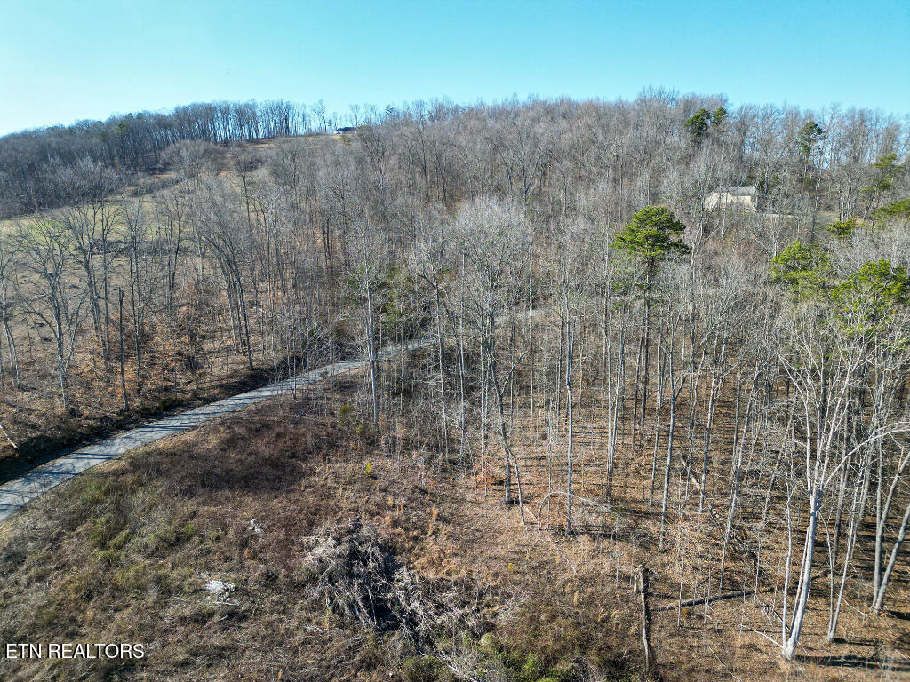 Hickory Point Maynardville, TN 37807 - Photo 5 of 13 04