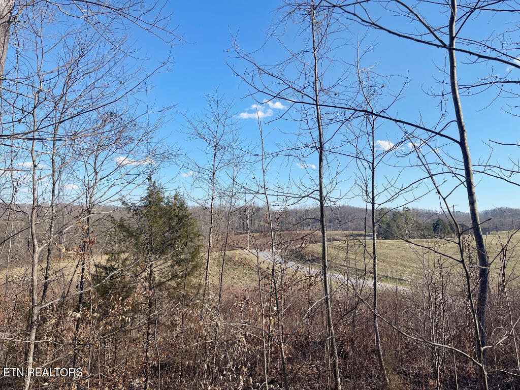 Hickory Point Maynardville, TN 37807 - Photo 6 of 13 05