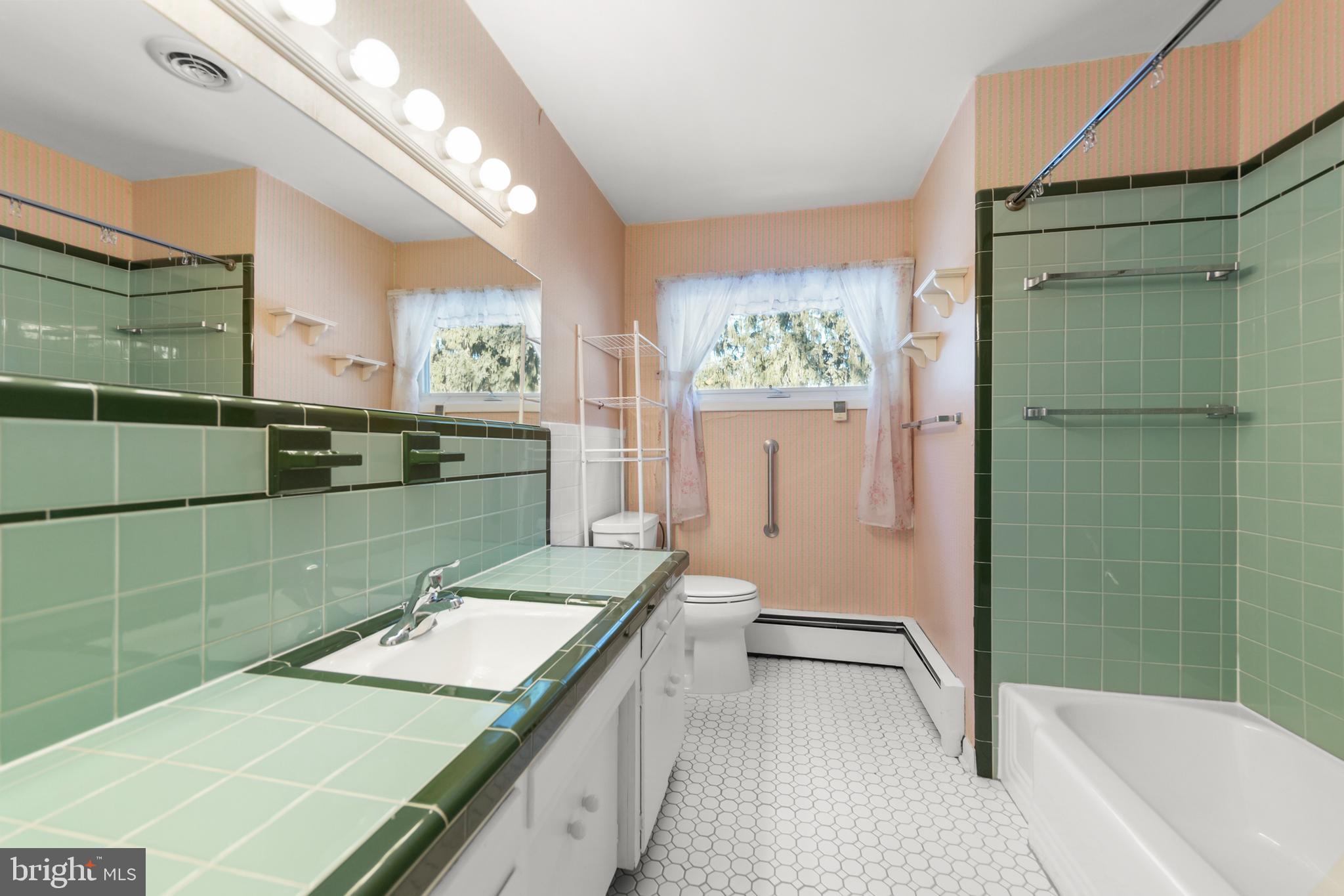 307 Fox Drive Winchester, VA 22601 - Photo 29 of 42 Hall Bath with large vanity & tub