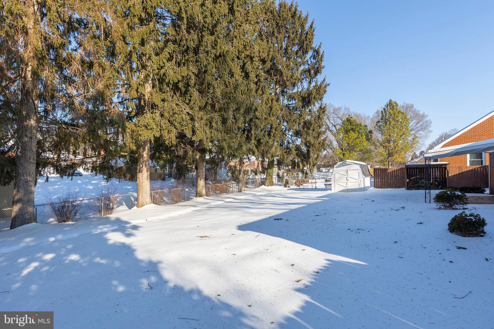 307 Fox Drive Winchester, VA 22601 - Photo 37 of 42 Rear Yard showing shed and covered area for wood