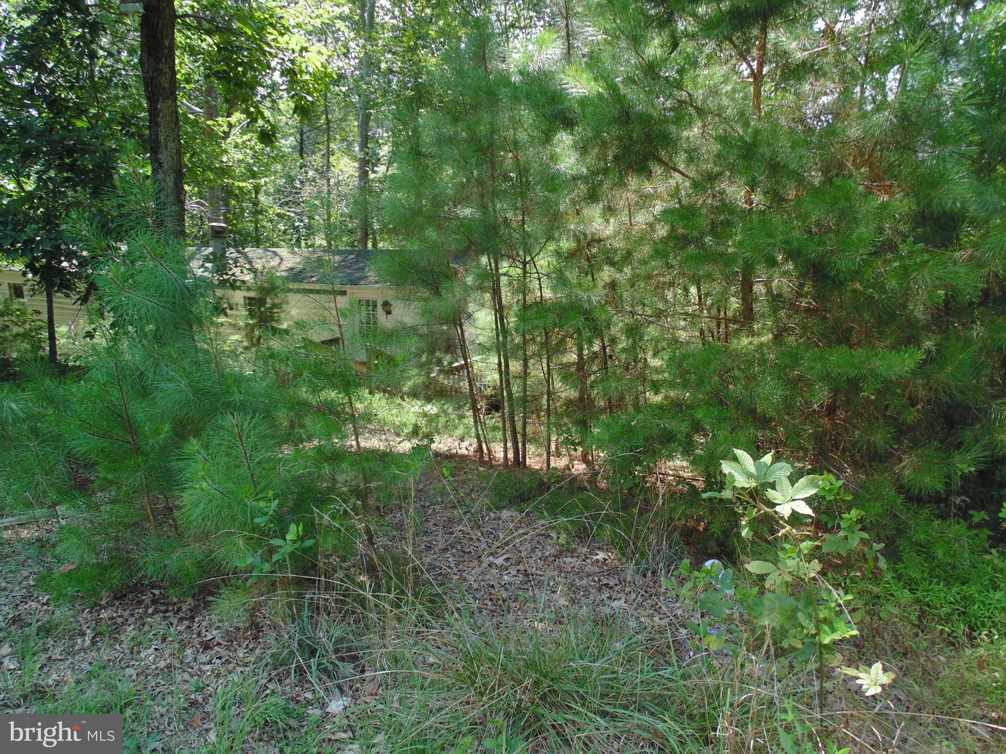 21571 Chancellors Run Road Great Mills, MD 20634 - Photo 2 of 12