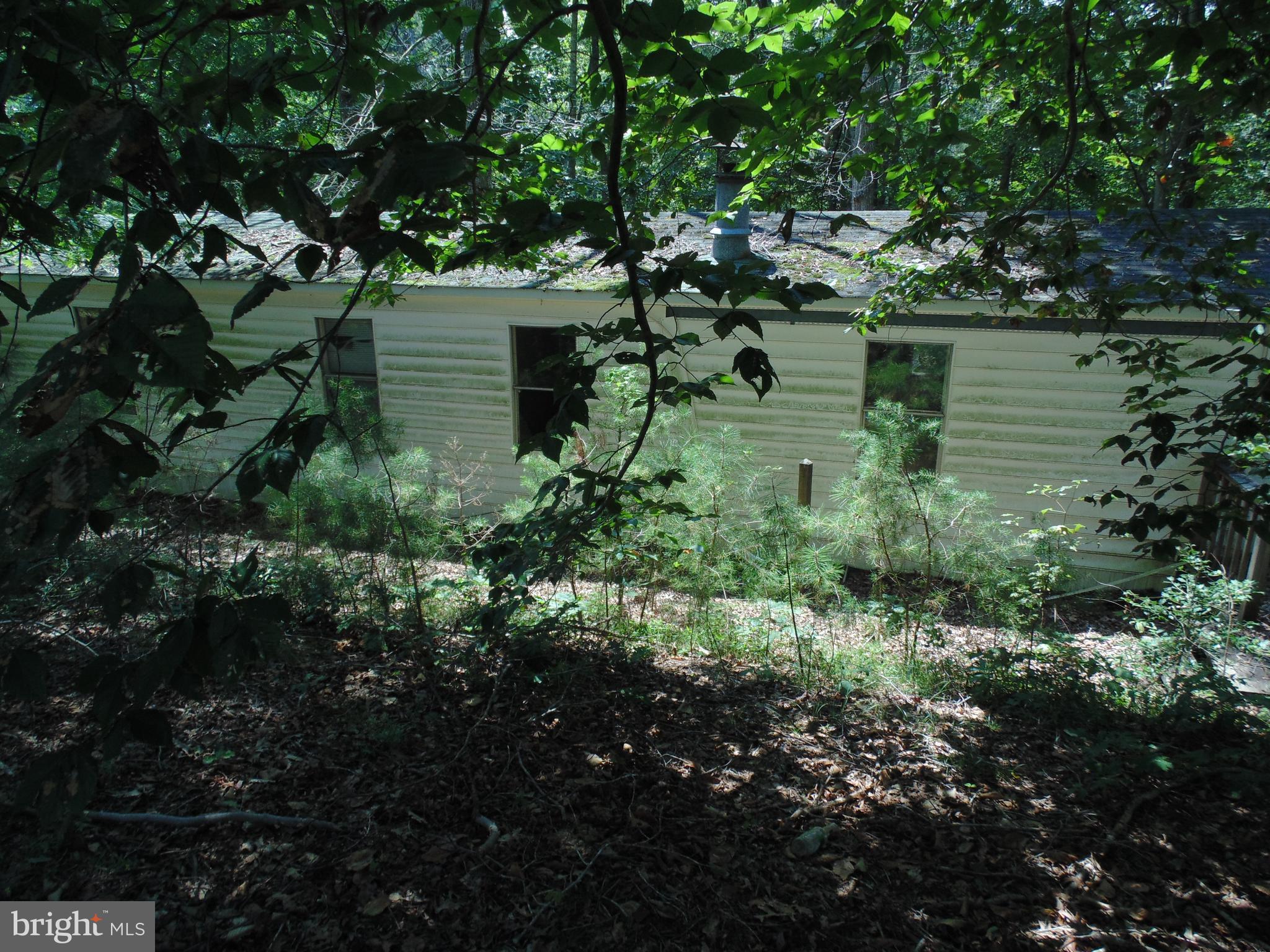 21571 Chancellors Run Road Great Mills, MD 20634 - Photo 4 of 12