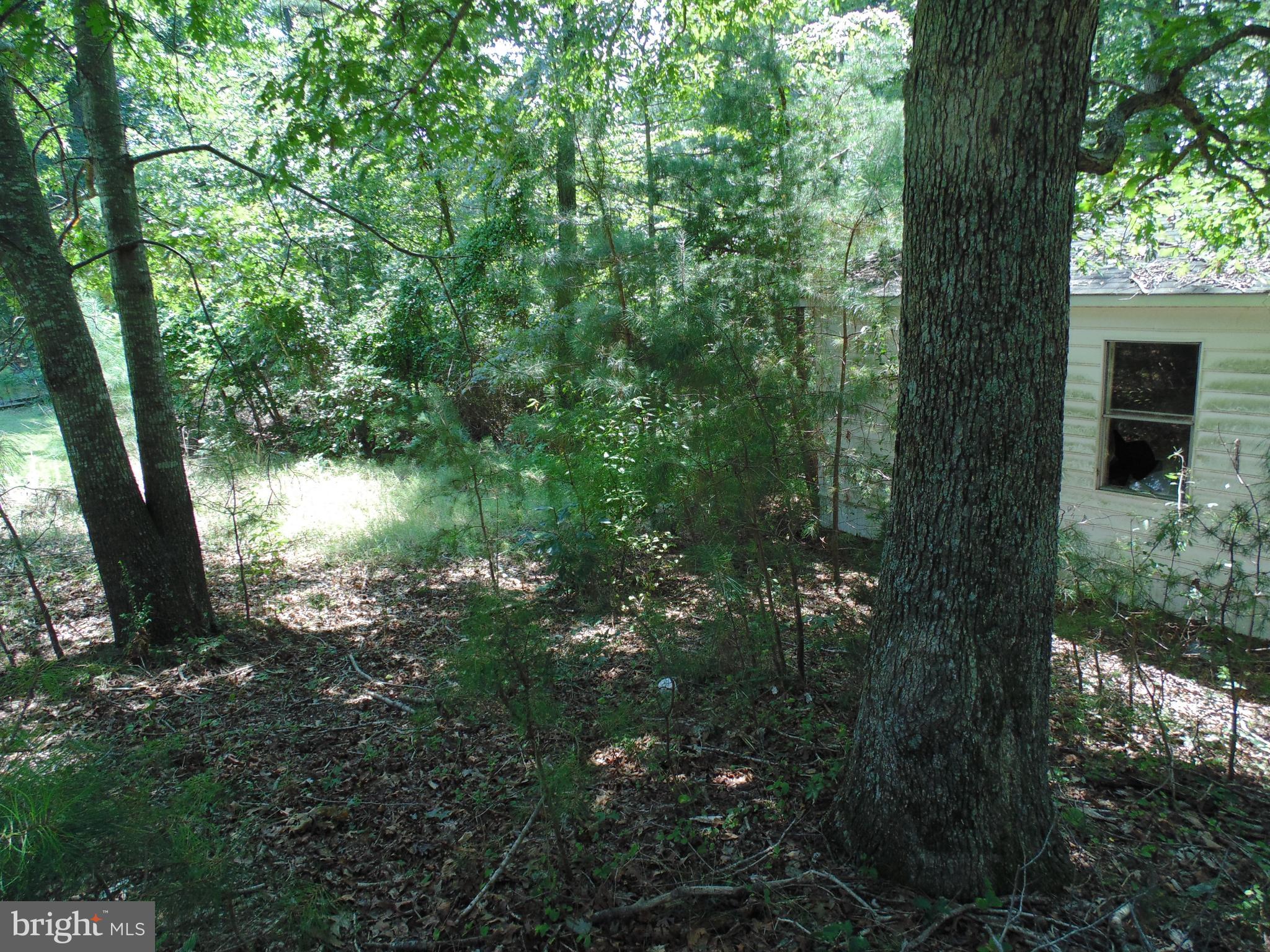 21571 Chancellors Run Road Great Mills, MD 20634 - Photo 6 of 12