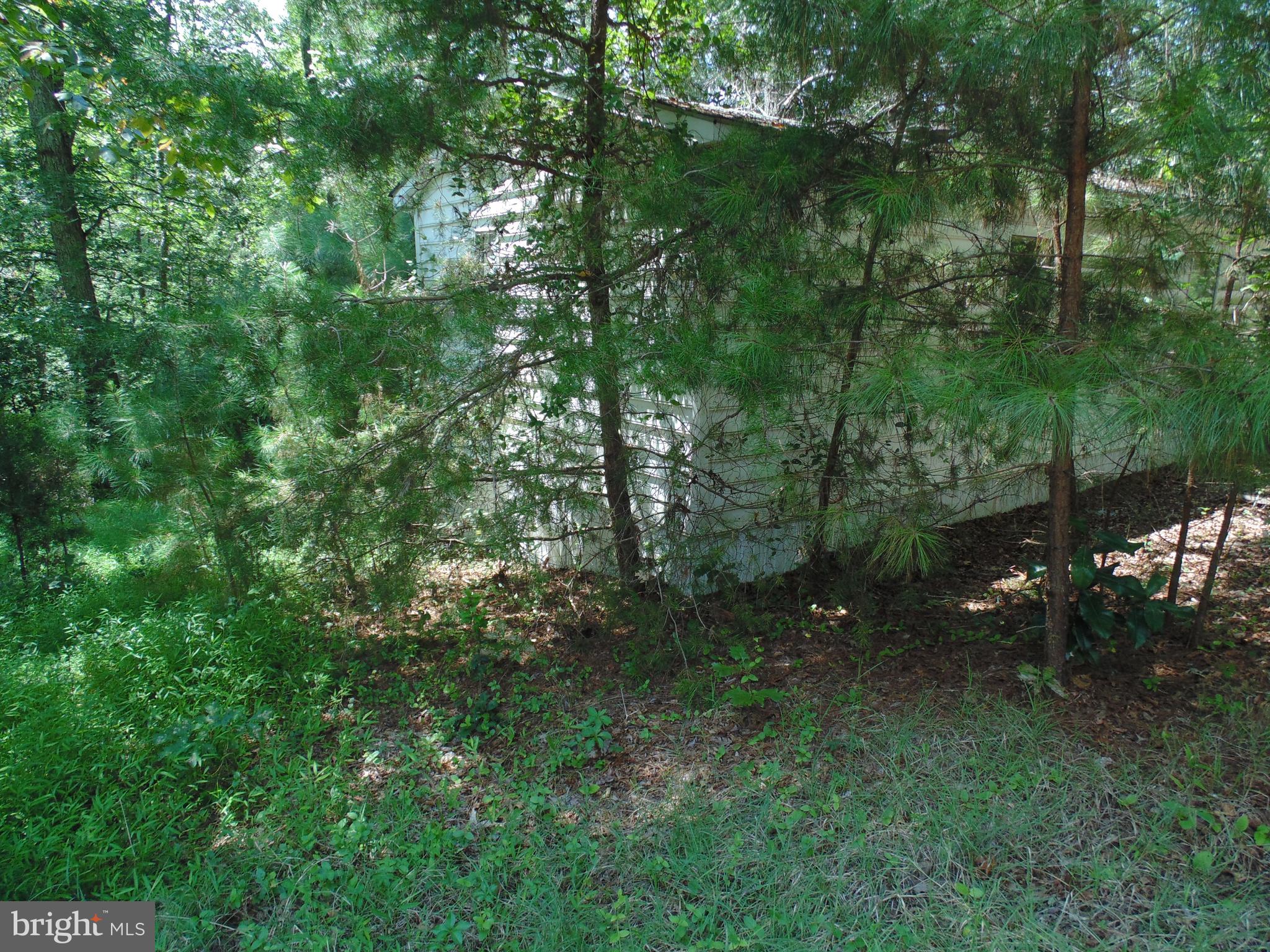 21571 Chancellors Run Road Great Mills, MD 20634 - Photo 7 of 12