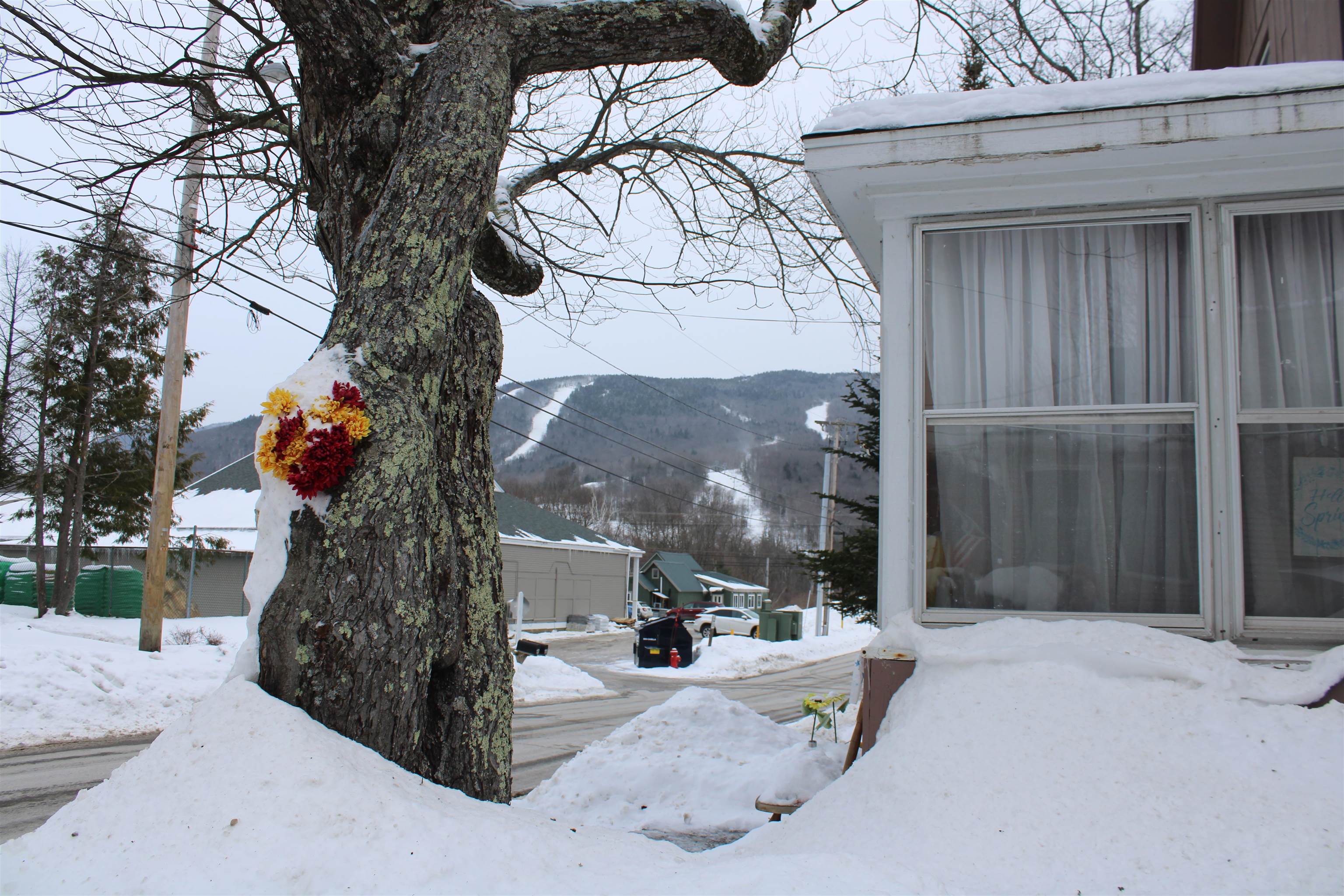 13 Maple Street Lincoln, NH 03251 - Photo 24 of 47