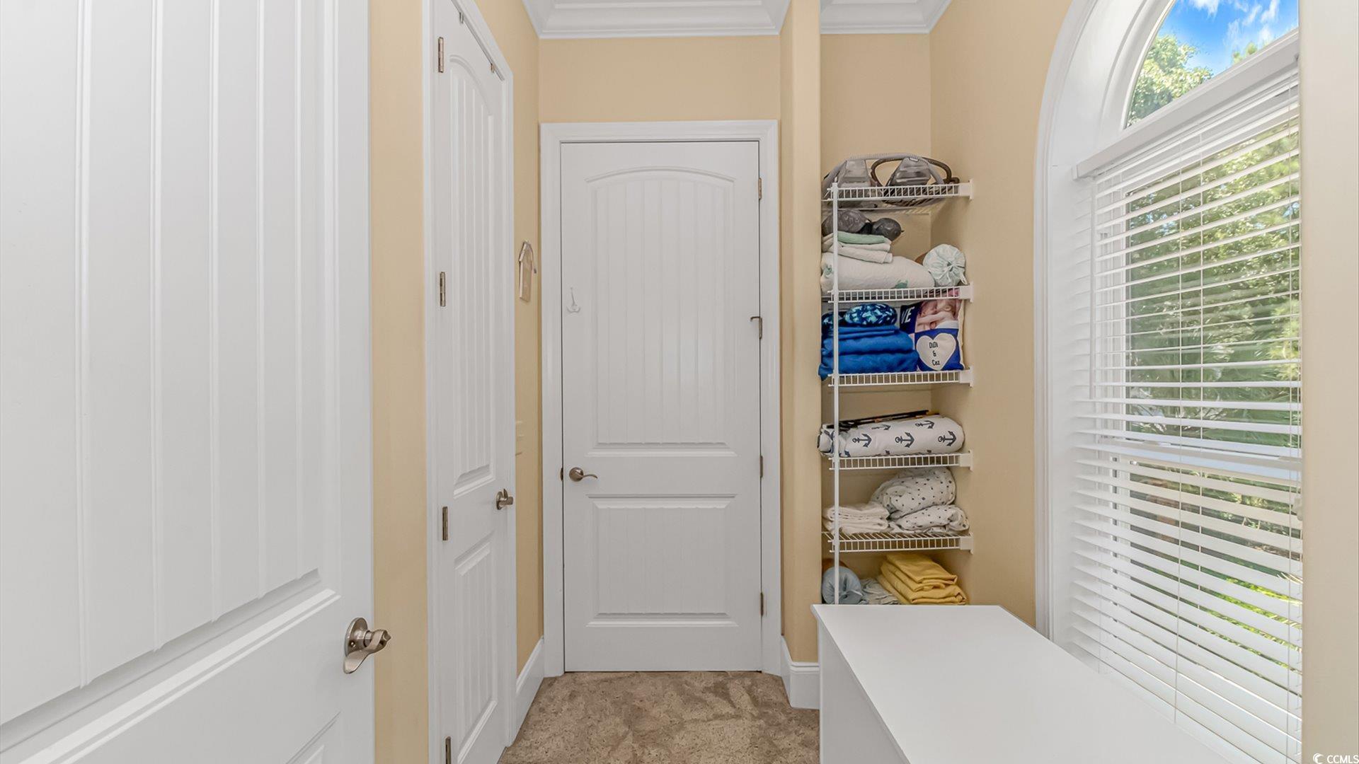 88 Gillette Place Murrells Inlet, SC 29576 - Photo 21 of 40 Mudroom with light colored carpet and ornamental m